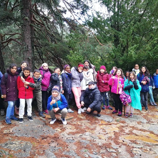 Fotos excursión a Cercedilla 6º 23