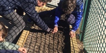 Quinto de Primaria_Taller de Huerto Escolar_CEIP Fernando de los Ríos_Las Rozas 3