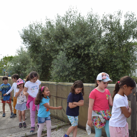 Siembra Huerta Balta 5 años 2018 17