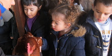 Granja Escuela Educación Infantil Curso 2017-18_2 6