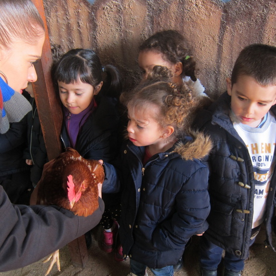 Granja Escuela Educación Infantil Curso 2017-18_2 6