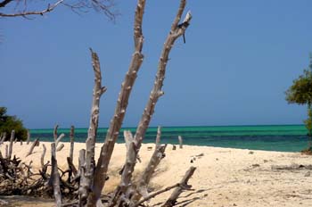 Khor Angar, Rep. de Djibouti, áfrica