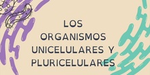 Organismos unicelulares y pluricelulares