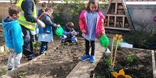 INFANTIL en el HUERTO 2019