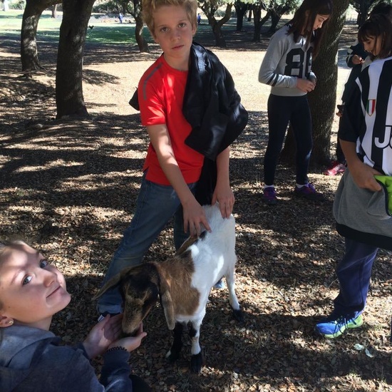 Mohernando 2017_3 33