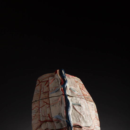 IES_CARDENALCISNEROS_ANATOMIA_MODELOS_111