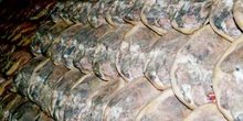 Jamón