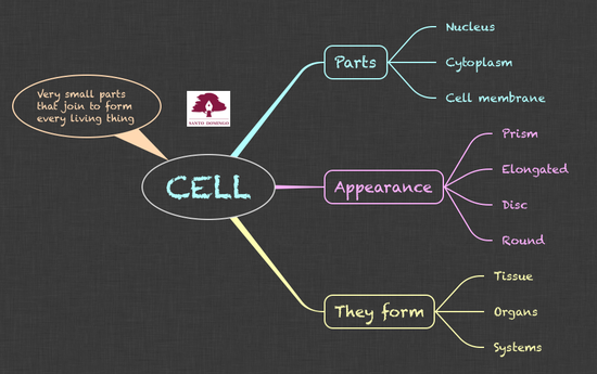 NS_CELL_5