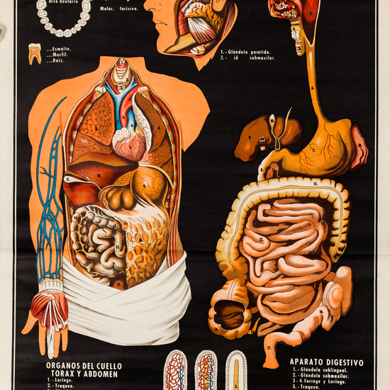IES_LOPEDEVEGA_CIENCIASNATURALES_017