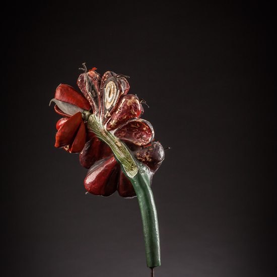 IES_ISABELLACATOLICA_BIOLOGIA_142