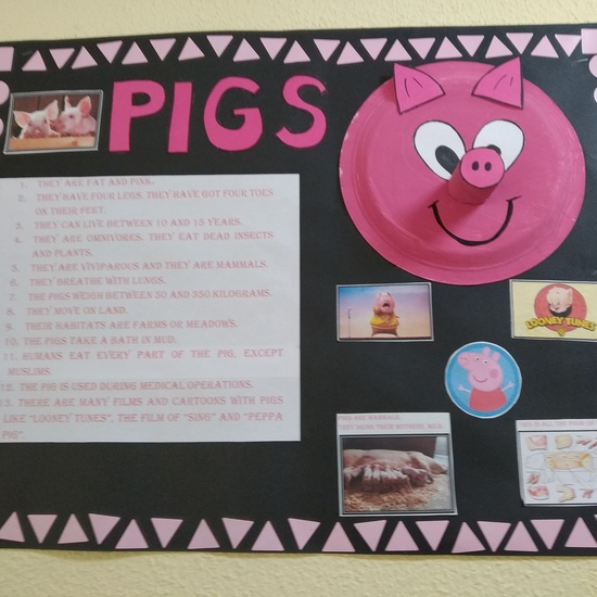 GALERÍA LEPANTO 3 4