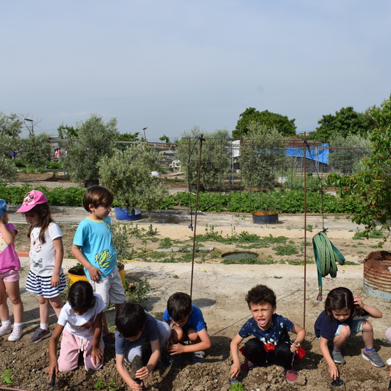 Siembra Huerta Balta 5 años 2018 30