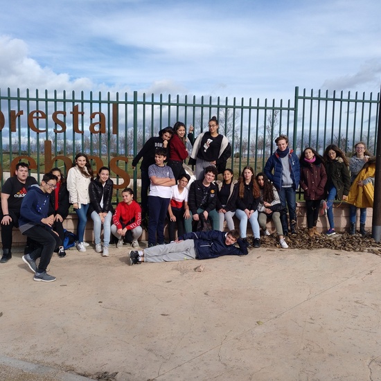 Plantación en el parque forestal de Valdebebas 2019 16