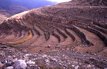 Laderas aterrazadas en las proximidades de Kohlan, Yemen