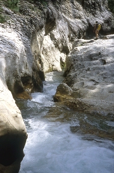 Curso de un río entre las rocas