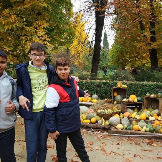 Fotos visita Museo CCNN y Botánico 9