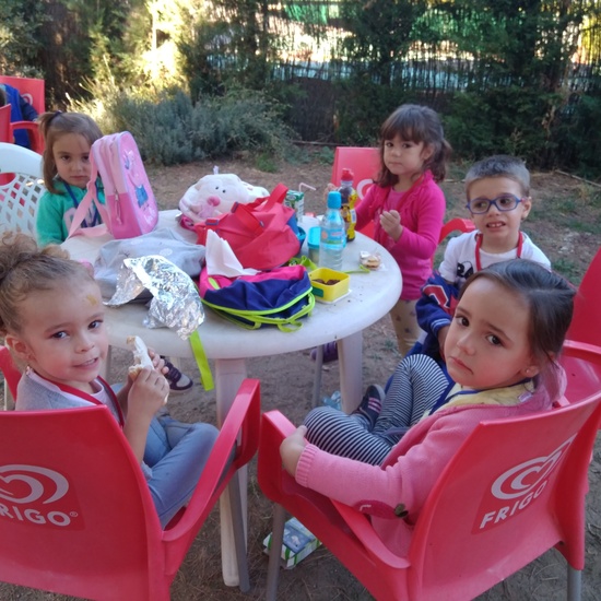 Excursión bosque encantado 18