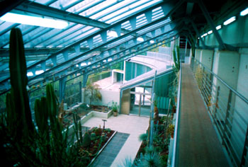 Vivero con vegetación de clima árido