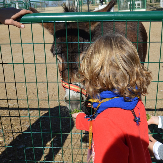 GRANJA ESCUELA ALBITANA 2018 26