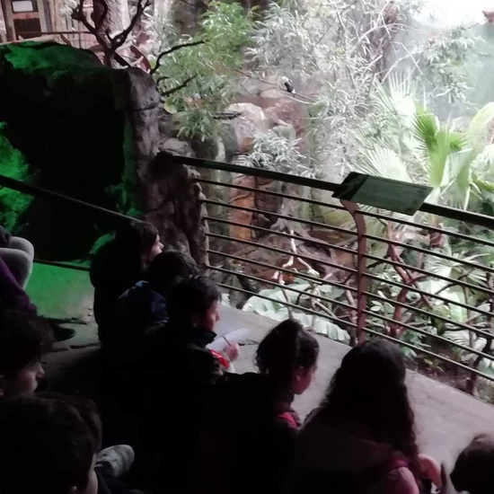 Parque de la Naturaleza. Faunia. 5º Curso. 37