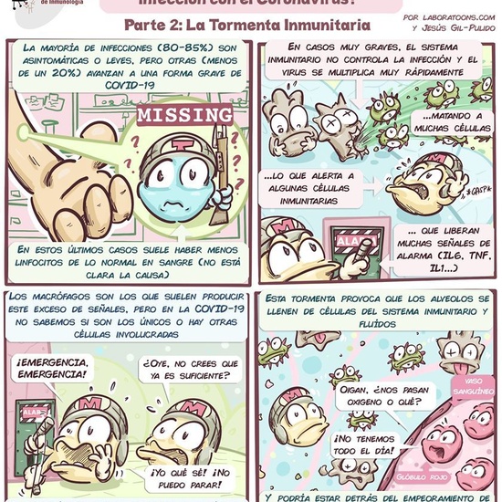 Cómic: ¿Qué pasa con tus defensas durante la infección con COVID-19? 3