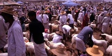 Mercado de ovejas y cabras en Suq al Khamis, Yemen