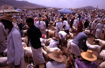 Mercado de ovejas y cabras en Suq al Khamis, Yemen