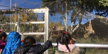 Excursión al zoo 5 años, 1º y 2º Luis Bello 21