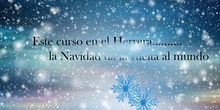 NAVIDAD 2021-2022