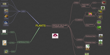 NS_PLANTS_2