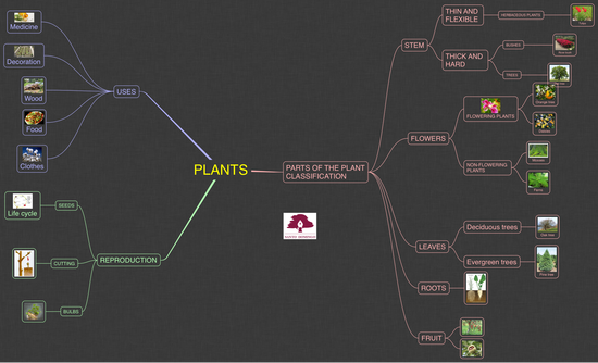 NS_PLANTS_2