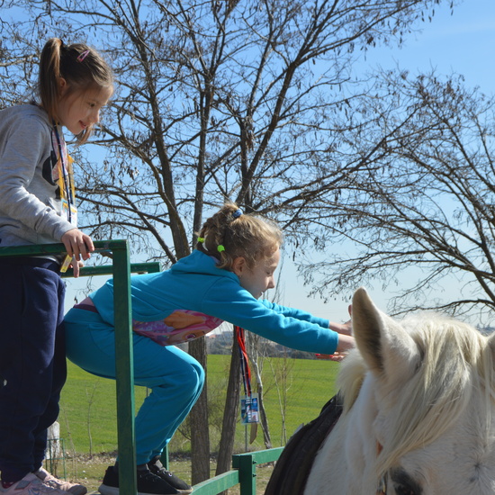 GRANJA ESCUELA ALBITANA 9