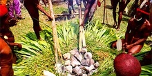 Creación de horno de piedras, Irian Jaya, Indonesia