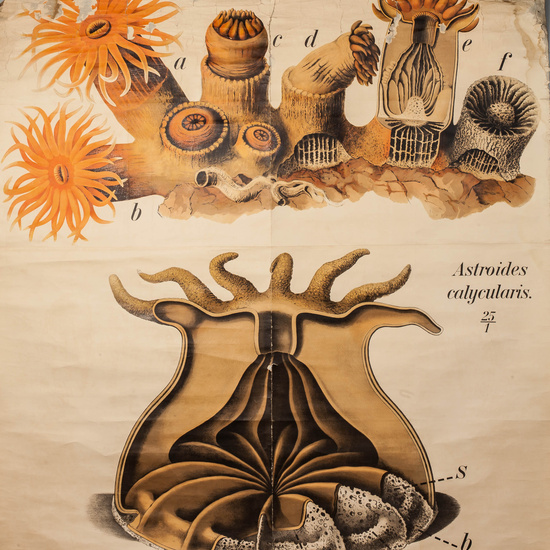 IES_RAMIRODEMAEZTU_BIOLOGIA_014