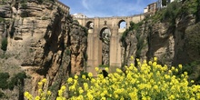 Ronda en primavera