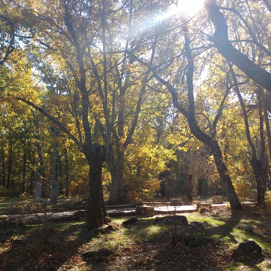 SALIDA EF BOSQUE HERRERIA 13