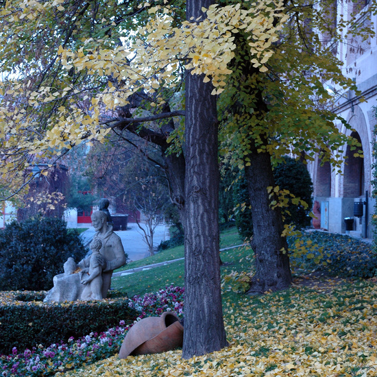 E_ARTE_JACINTOALCANTARA_019