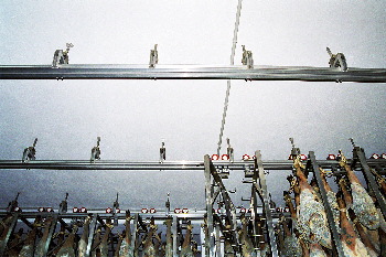 Perchas y rieles para cámara frigorífica