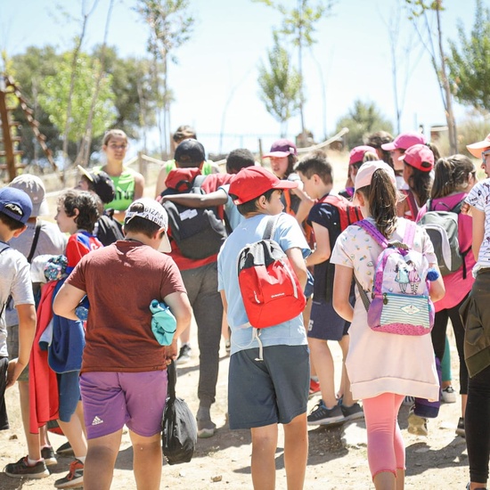 CONVIVENCIAS 6º - 2019 6