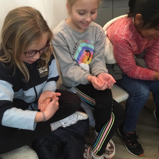 2020_02_27_3º visita Insectpark (2)_CEIP FDLR_Las Rozas 23