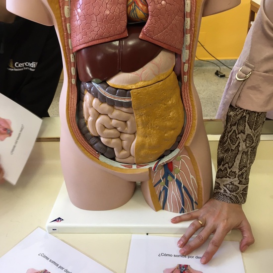 Visita IES Joaquín Turina 1