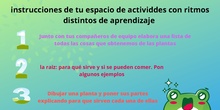 Instrucciones actividades