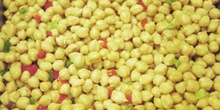 Ensalada de garbanzos