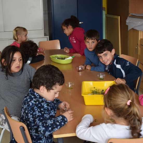 Taller de ciencias con padres 2