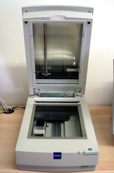 Escaner plano de traslúcidos Epson