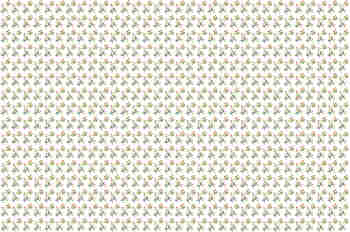 Repetición a treinta y dos ramas