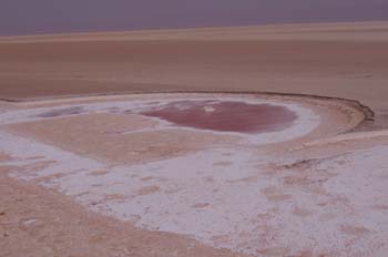 Lago salado de Chott el Jerid, Túnez