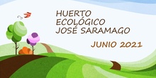 NUESTRO HUERTO EN JUNIO