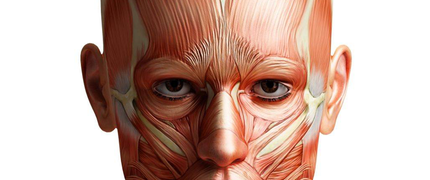 Vamdla_23 IES La Cabrera S01E08 - El corazón.