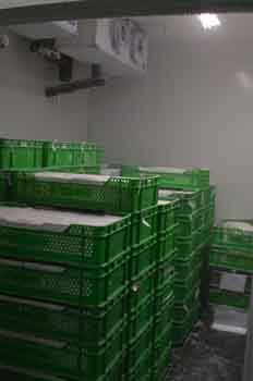 Cámara frigorífica